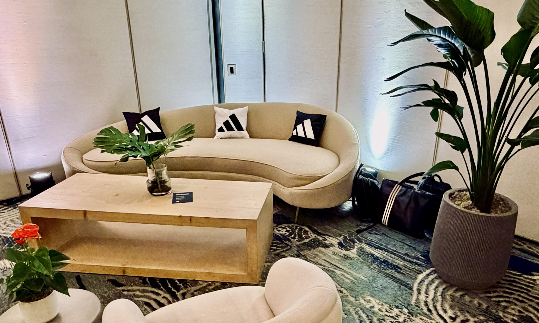 Brand lounge install — coffee table and monstera