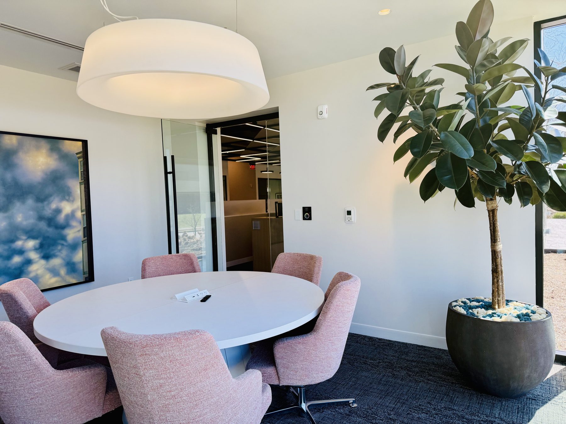 Office grand opening — conference room with rubber tree