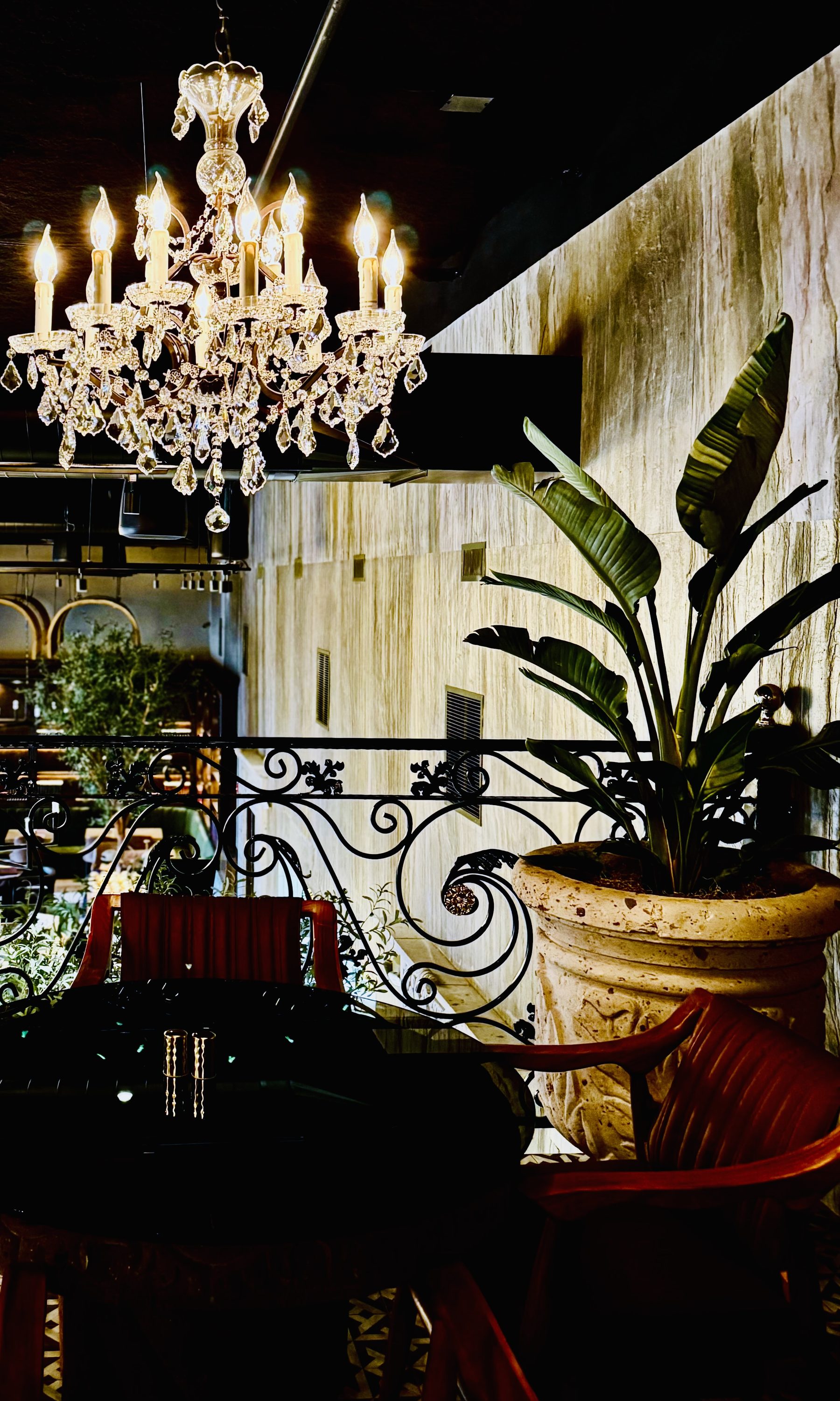 Restaurant install — chandelier and bird of paradise in travertine planter