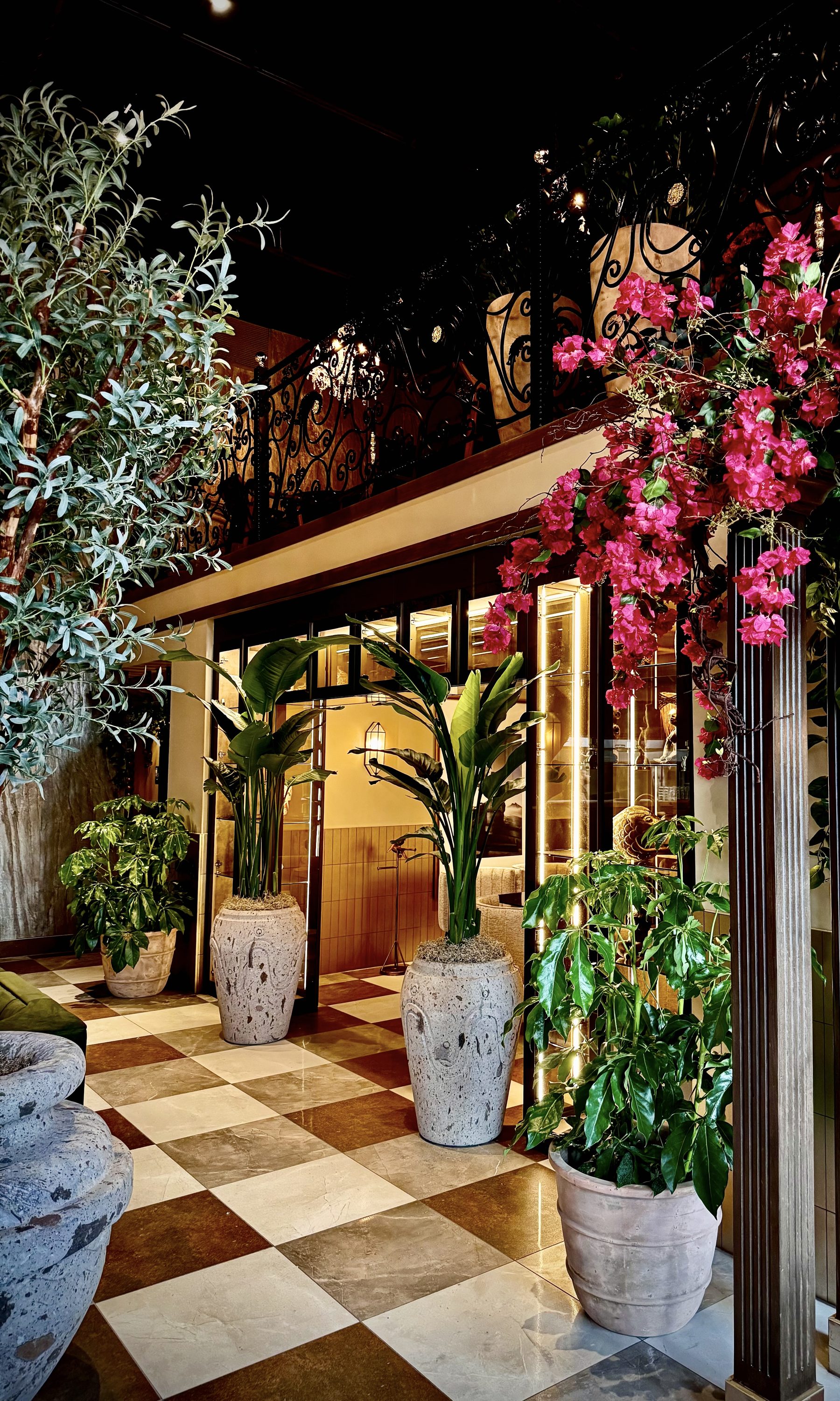 Restaurant install — entryway with olive tree and bougainvillea